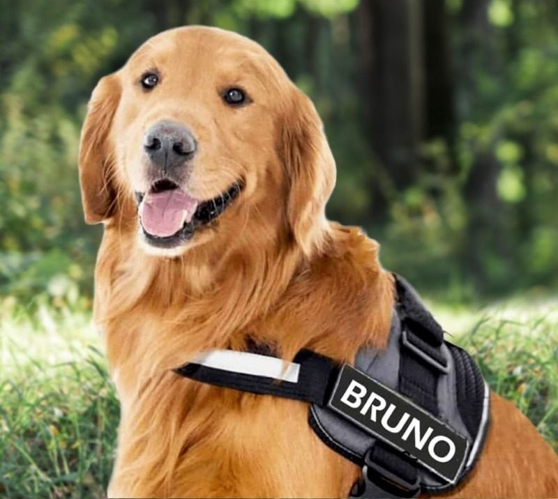 OURANEST™ - CUSTOM FIT NO-PULL DOG HARNESS
